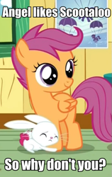 Size: 387x612 | Tagged: safe, derpibooru import, angel bunny, scootaloo, just for sidekicks, image macro