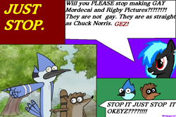 Size: 843x562 | Tagged: safe, derpibooru import, oc, oc only, anti gay shipping, anti-shipping, barely pony related, mordecai, mordecai and rigby, ms paint, regular show, rigby