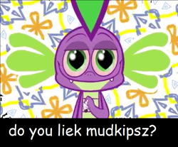 Size: 960x796 | Tagged: safe, derpibooru import, spike, dragon, .mov, comic sans, do you liek mudkips, high, image macro, meme, mudkip, mudkips, pokémon, text, wat