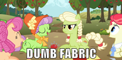 Size: 500x245 | Tagged: safe, derpibooru import, screencap, apple rose, auntie applesauce, granny smith, sew 'n sow, apple family reunion, angry, dumb fabric, eyes closed, hat, image macro, laughing, meme, young apple rose, young granny smith