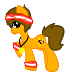 Size: 559x603 | Tagged: safe, artist:hippiegirl123, derpibooru import, oc, oc only, earth pony, pony, necklace, stars, sweatband