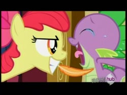 Size: 720x540 | Tagged: safe, derpibooru import, screencap, apple bloom, spike, dragon, just for sidekicks, tickling