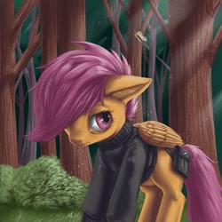 Size: 600x600 | Tagged: safe, artist:aphexangel, derpibooru import, scootaloo, ask, ask stalkerloo, clothes, solo, stalkerloo, tree, tumblr