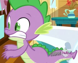 Size: 1066x865 | Tagged: safe, derpibooru import, screencap, spike, dragon, just for sidekicks, male, solo