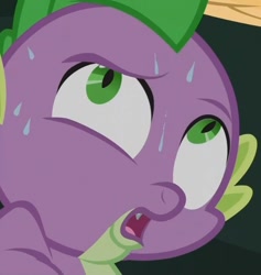 Size: 821x865 | Tagged: safe, derpibooru import, screencap, spike, dragon, just for sidekicks, out of context, sweat