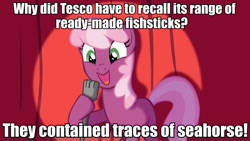 Size: 960x540 | Tagged: safe, derpibooru import, cheerilee, earth pony, pony, 2013 horsemeat scandal, cheerilee pun, curtain, exploitable meme, female, green eyes, mare, meme, microphone, open mouth, smiling, solo, spotlight, text, two toned mane, two toned tail