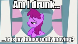 Size: 500x283 | Tagged: safe, derpibooru import, edit, edited screencap, screencap, berry punch, berryshine, hearts and hooves day (episode), cropped, hearts and hooves day, image macro, solo