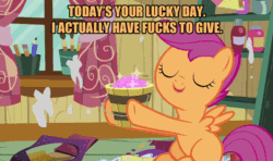 Size: 600x356 | Tagged: safe, derpibooru import, edit, edited screencap, screencap, scootaloo, hearts and hooves day (episode), animated, bucket, clubhouse, crusaders clubhouse, glitter, hearts and hooves day, image macro, no fucks, orange text, solo, vulgar