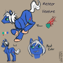 Size: 1500x1500 | Tagged: safe, derpibooru import, oc, oc only, oc:meteor venture, earth pony, pony, carnivore, reference sheet