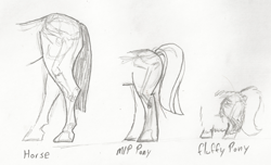 Size: 1116x679 | Tagged: safe, artist:fluffsplosion, derpibooru import, fluffy pony, horse, anatomy, comparison