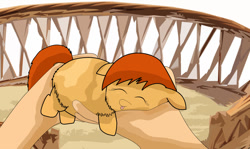 Size: 900x536 | Tagged: safe, artist:inkiepie, derpibooru import, fluffy pony, fluffy pony original art, sleeping