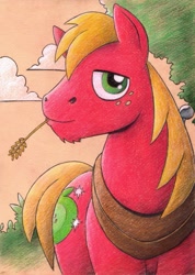 Size: 523x736 | Tagged: safe, artist:drakefenwick, derpibooru import, big macintosh, earth pony, pony, male, stallion