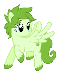 Size: 3000x3772 | Tagged: safe, artist:mawscm, derpibooru import, oc, oc only, pegasus, pony, female, linux, linux mint, mare, os pony, ponified, simple background, transparent background, unshorn fetlocks, vector