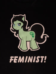 Size: 986x1314 | Tagged: safe, derpibooru import, clothes, feminism, ponified, shirt