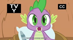 Size: 846x467 | Tagged: safe, derpibooru import, screencap, spike, dragon, magical mystery cure, tv rating, youtube caption