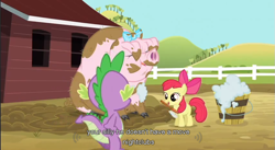 Size: 855x470 | Tagged: safe, derpibooru import, screencap, apple bloom, spike, dragon, earth pony, pony, bow, cloven hooves, little piggington, mud, youtube caption