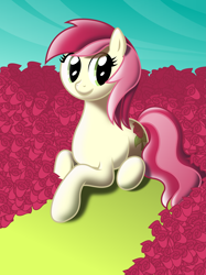 Size: 4031x5375 | Tagged: safe, artist:rainbowrage12, derpibooru import, roseluck, absurd resolution, flower, rose, solo