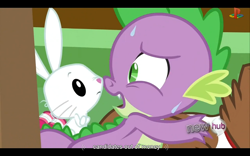 Size: 1024x640 | Tagged: safe, derpibooru import, screencap, angel bunny, spike, winona, dog, dragon, just for sidekicks, hub logo, youtube caption