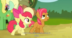 Size: 1589x861 | Tagged: safe, derpibooru import, screencap, apple bloom, apple honey, apple tarty, babs seed, half baked apple, wensley, apple family reunion, youtube caption, youtube link