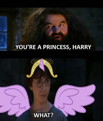 Size: 500x584 | Tagged: safe, derpibooru import, edit, alicorn, human, glasses, harry potter, harrycorn, humor, image macro, jewelry, meme, movie reference, regalia, rubeus hagrid, wat