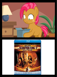 Size: 651x876 | Tagged: safe, derpibooru import, babs seed, bad gift meme, exploitable meme, meme, the scorpion king 2