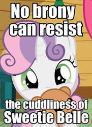 Size: 316x437 | Tagged: safe, artist:jan, derpibooru import, sweetie belle, cute, diasweetes, image macro