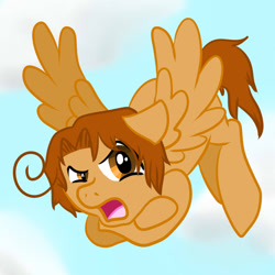 Size: 894x894 | Tagged: safe, artist:nekoise-the-akatsuki, derpibooru import, pegasus, pony, crossover, hetalia, ponified, romano