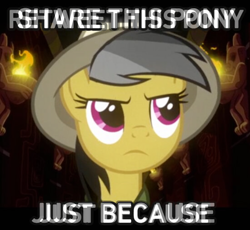 Size: 550x506 | Tagged: safe, derpibooru import, edit, daring do, facebook, fusion, the hub, twitter