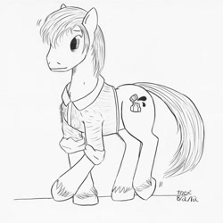 Size: 894x894 | Tagged: safe, artist:enigmaticthief, derpibooru import, oc, oc only, earth pony, pony, clothes, sweater