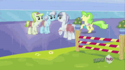 Size: 576x324 | Tagged: safe, derpibooru import, screencap, berry splash, chickadee, long jump, ms. peachbottom, periwinkle pace, toastie, crystal pony, earth pony, pony, games ponies play, animated, background pony, female, male, mare, stallion