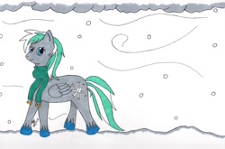 Size: 1024x677 | Tagged: safe, artist:senna-x, derpibooru import, oc, oc only, pegasus, pony, winter