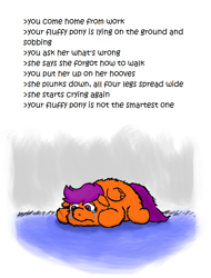 Size: 588x772 | Tagged: safe, artist:mr tiggly the wiggly walnut, derpibooru import, scootaloo, fluffy pony, crying, stupidity, text