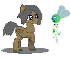 Size: 290x238 | Tagged: safe, derpibooru import, parasprite, brandon sanderson, crossover, kaladin, ponified, stormlight archive, sylphara, way of kings