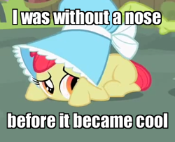 Size: 367x296 | Tagged: safe, derpibooru import, edit, edited screencap, screencap, apple bloom, family appreciation day, before it was cool, bonnet, cropped, hipster, image macro, no mouth, solo