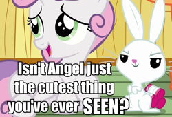 Size: 802x545 | Tagged: safe, derpibooru import, angel bunny, sweetie belle, just for sidekicks, angel is a bunny bastard, cute, image macro, irony