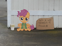 Size: 3264x2448 | Tagged: safe, artist:dilettantesucker, derpibooru import, scootaloo, clothes, homeless, ponies in real life, scootabuse, scootalone, torn clothes, will x for y