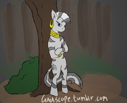 Size: 1280x1040 | Tagged: safe, artist:gaiascope, derpibooru import, zecora, zebra, 30 minute art challenge, bipedal, forest, solo, tree