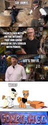 Size: 500x1305 | Tagged: safe, derpibooru import, walrus, adam savage, comic, discovery channel, glasses, image macro, jamie hyneman, mythbusters, ponified