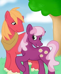 Size: 900x1080 | Tagged: safe, artist:missmagazine, derpibooru import, big macintosh, cheerilee, earth pony, pony, cheerimac, male, shipping, stallion, straight