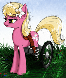 Size: 647x758 | Tagged: safe, artist:madhotaru, derpibooru import, lily, lily valley, amputee, disabled, solo, wheelchair