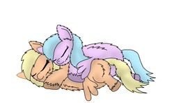 Size: 1024x610 | Tagged: safe, artist:inkiepie, derpibooru import, fluffy pony, cuddling, fluffy pony original art, sleeping