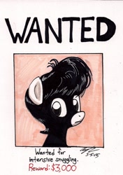 Size: 974x1386 | Tagged: safe, artist:newyorkx3, oc, oc only, oc:tommy junior, solo, traditional art, wanted poster