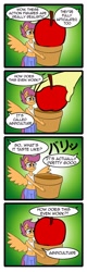 Size: 1122x3496 | Tagged: safe, artist:anibaruthecat, apple bloom, scootaloo, anthro, 4koma, action figure, apple, apple bloomers, belly button, carrying, clothes, comic, doll, japanese, midriff, pot, smiling, sports bra, spread wings, tanktop, wat