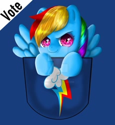 Size: 1024x1107 | Tagged: safe, artist:meridianhearts, derpibooru import, rainbow dash, pegasus, pony, deviantart watermark, digital art, obtrusive watermark, pocket, smiling, solo, watermark