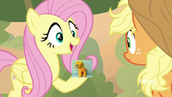 Size: 1280x720 | Tagged: safe, derpibooru import, edit, edited screencap, editor:background pony #91z0, screencap, applejack, fluttershy, earth pony, pegasus, pony, sounds of silence, applejack's hat, cowboy hat, discovery family logo, duo, female, freckles, hat, hoof hold, irl, looking at each other, mare, messy mane, photo, plushie, raised hoof