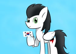 Size: 2048x1447 | Tagged: artist needed, safe, derpibooru import, oc, oc only, oc:skysprinter, cute, flag, korean, simple