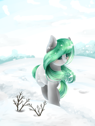 Size: 1500x2000 | Tagged: safe, artist:intfighter, derpibooru import, oc, oc only, earth pony, pony, earth pony oc, outdoors, snow, solo