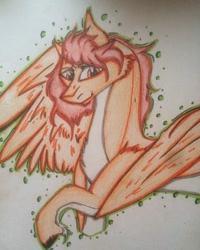 Size: 1080x1350 | Tagged: safe, artist:olyaandspid, derpibooru import, pegasus, pony, attack on titan, bust, chest fluff, ponified, solo, traditional art, unshorn fetlocks