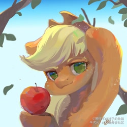 Size: 2008x2008 | Tagged: safe, artist:小huhu狸君呀, derpibooru import, applejack, earth pony, pony, apple, applejack's hat, branches, cowboy hat, female, food, hat, looking at you, mare, solo, that pony sure does love apples
