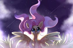 Size: 1968x1296 | Tagged: safe, artist:qehvi, derpibooru import, fluttershy, pegasus, pony, cute, female, field, grass, grass field, looking up, mare, moon, night, raised hoof, shooting star, shooting stars, shyabetes, sitting, sky, smiling, solo, spread wings, stars, windswept mane, wings